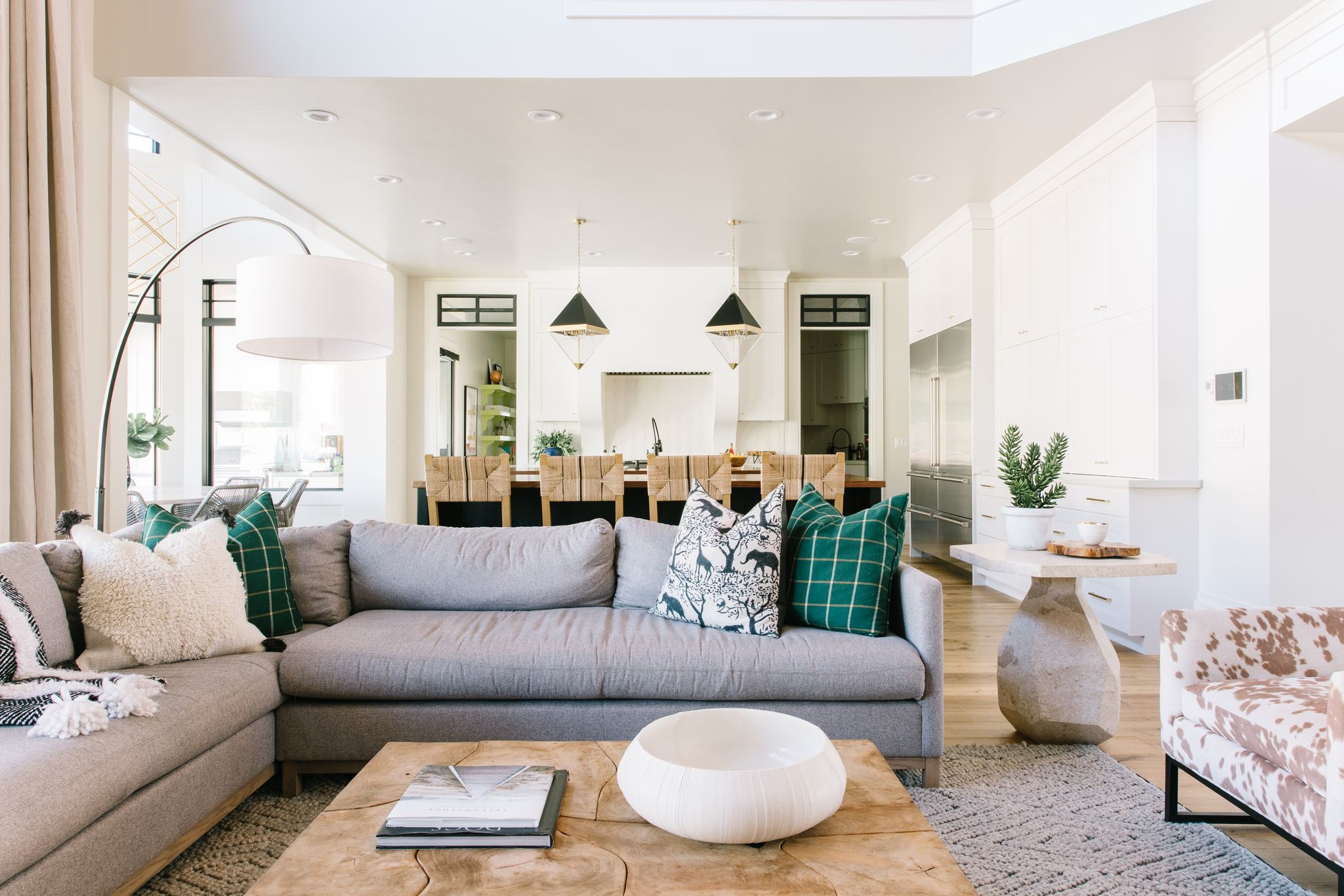Modern Great Room