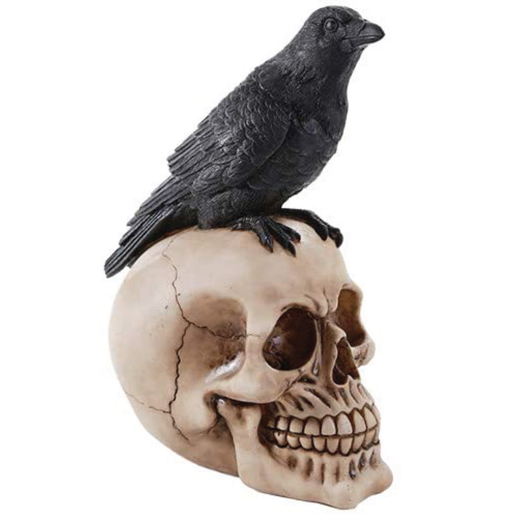Crow and skull